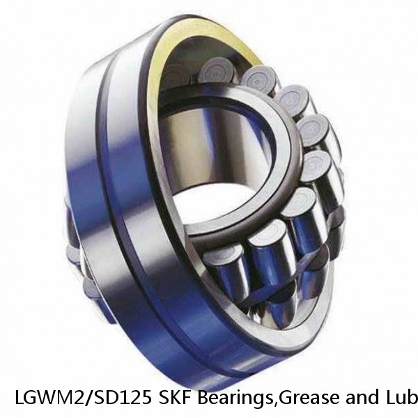 LGWM2/SD125 SKF Bearings,Grease and Lubrication,Grease, Lubrications and Oils