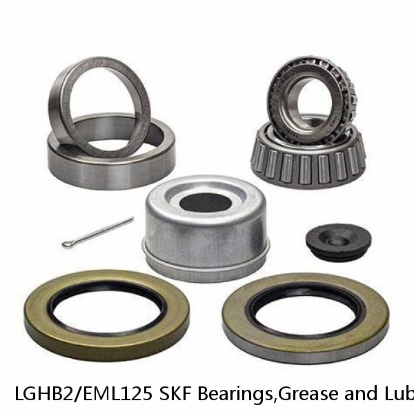 LGHB2/EML125 SKF Bearings,Grease and Lubrication,Grease, Lubrications and Oils