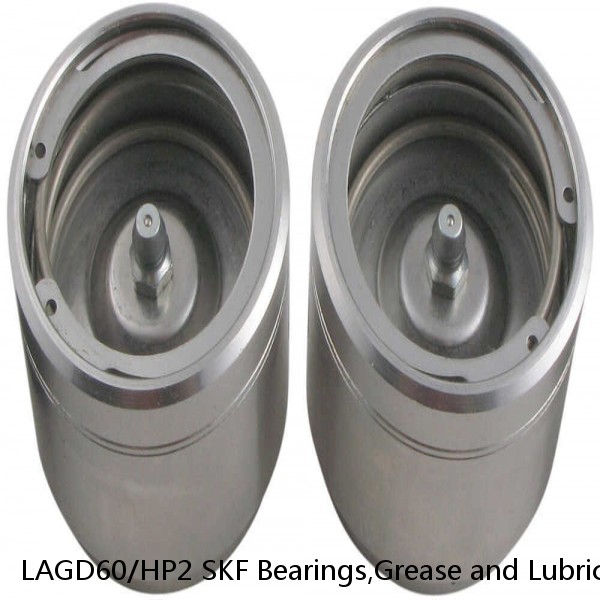 LAGD60/HP2 SKF Bearings,Grease and Lubrication,Grease, Lubrications and Oils