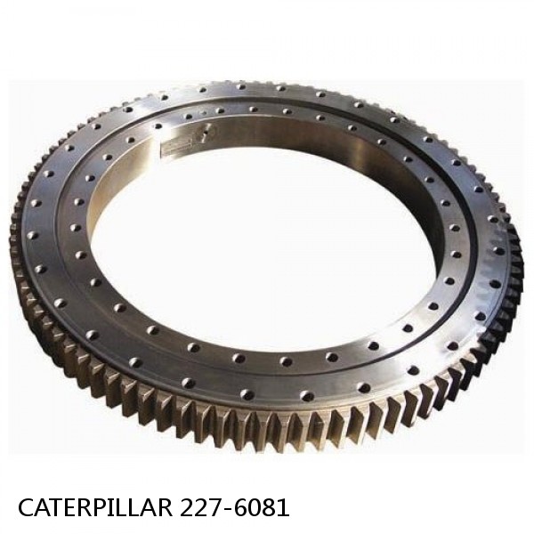 227-6081 CATERPILLAR Turntable bearings for 320C