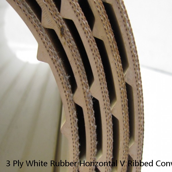 3 Ply White Rubber Horizontal V Ribbed Conveyor Belt 7Ft X 38-1/8" 0.155" Thick #1 small image
