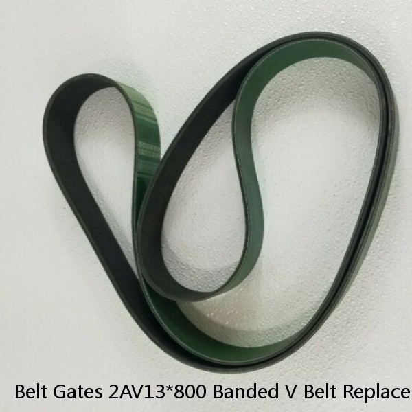 Belt Gates 2AV13*800 Banded V Belt Replacement Gates 2/9305PB GS POWERBAND BELT 85410033 For Heavy-duty High-vibration Applications #1 small image