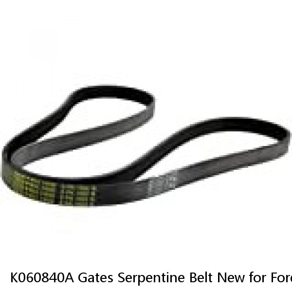 K060840A Gates Serpentine Belt New for Ford Focus 2005-2007 #1 small image