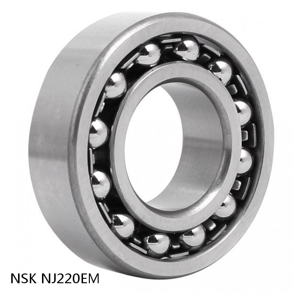NJ220EM NSK Single row cylindrical roller bearings #1 small image