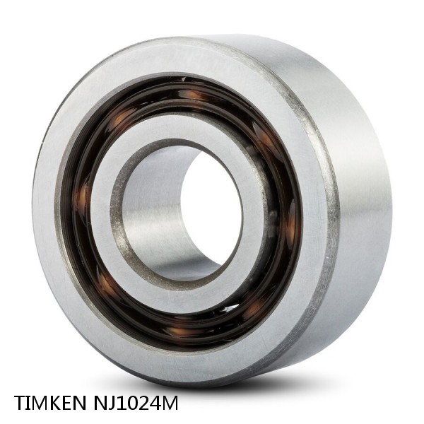 NJ1024M TIMKEN Single row cylindrical roller bearings #1 small image