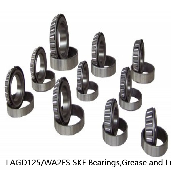 LAGD125/WA2FS SKF Bearings,Grease and Lubrication,Grease, Lubrications and Oils