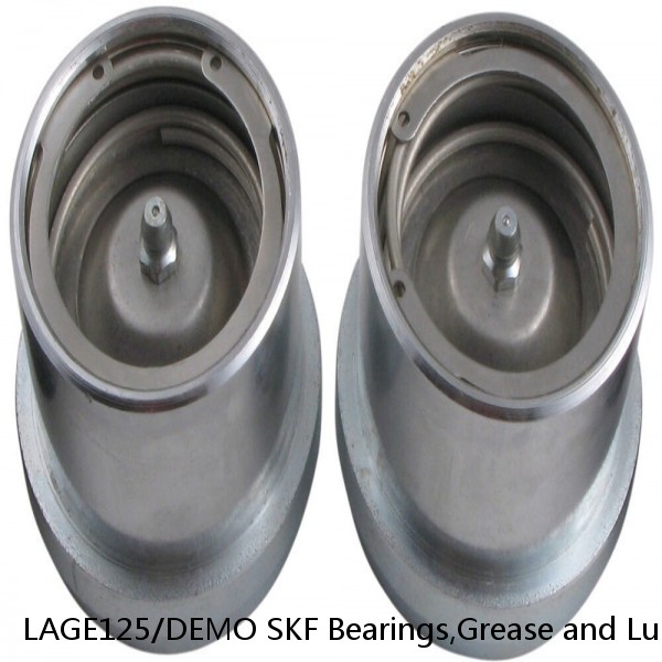 LAGE125/DEMO SKF Bearings,Grease and Lubrication,Grease, Lubrications and Oils