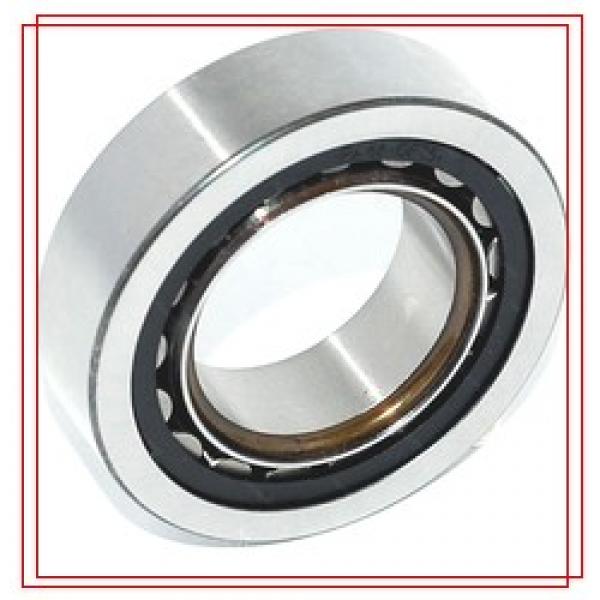 INA 712179410 Tapered Roller Bearings #1 image
