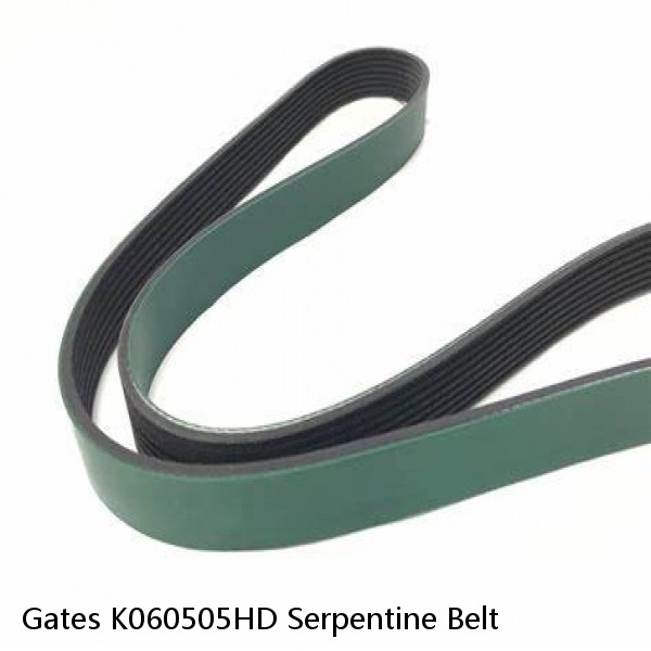Gates K060505HD Serpentine Belt #1 image