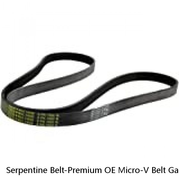Serpentine Belt-Premium OE Micro-V Belt Gates fits 05-07 Ford Focus 2.0L-L4 #1 image