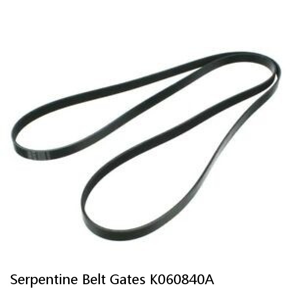 Serpentine Belt Gates K060840A #1 image