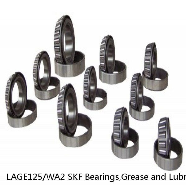 LAGE125/WA2 SKF Bearings,Grease and Lubrication,Grease, Lubrications and Oils #1 image