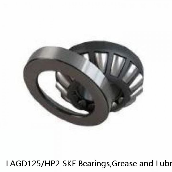 LAGD125/HP2 SKF Bearings,Grease and Lubrication,Grease, Lubrications and Oils #1 image