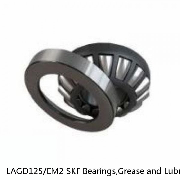 LAGD125/EM2 SKF Bearings,Grease and Lubrication,Grease, Lubrications and Oils #1 image