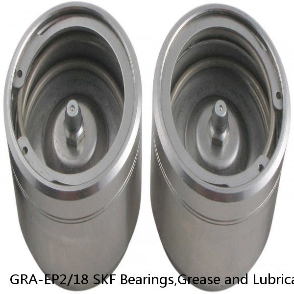 GRA-EP2/18 SKF Bearings,Grease and Lubrication,Grease, Lubrications and Oils #1 image