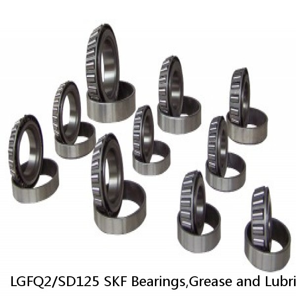 LGFQ2/SD125 SKF Bearings,Grease and Lubrication,Grease, Lubrications and Oils #1 image