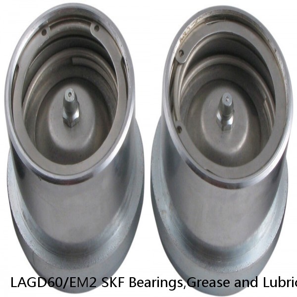 LAGD60/EM2 SKF Bearings,Grease and Lubrication,Grease, Lubrications and Oils #1 image