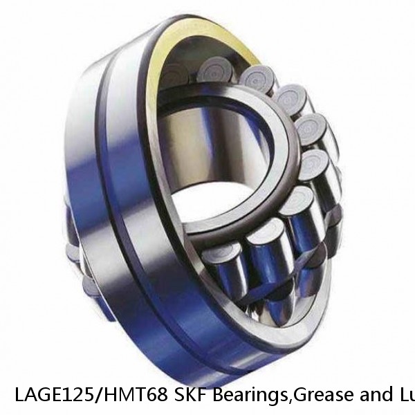 LAGE125/HMT68 SKF Bearings,Grease and Lubrication,Grease, Lubrications and Oils #1 image