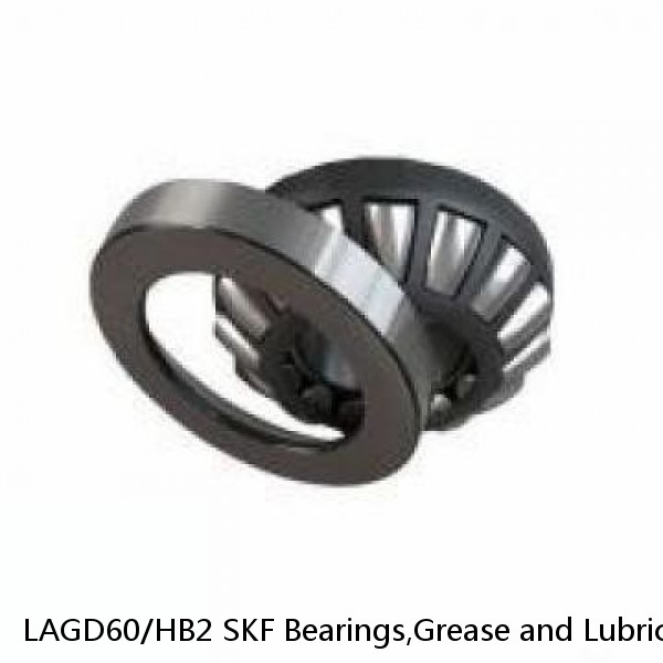 LAGD60/HB2 SKF Bearings,Grease and Lubrication,Grease, Lubrications and Oils #1 image