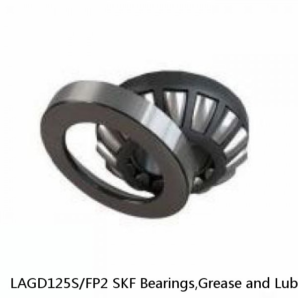 LAGD125S/FP2 SKF Bearings,Grease and Lubrication,Grease, Lubrications and Oils #1 image